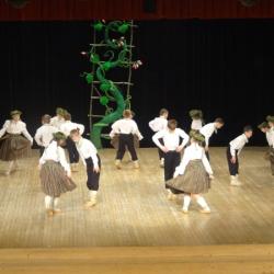 Valkas novada skolu deju kolektīvi skatē saņem I un II pakāpes diplomus